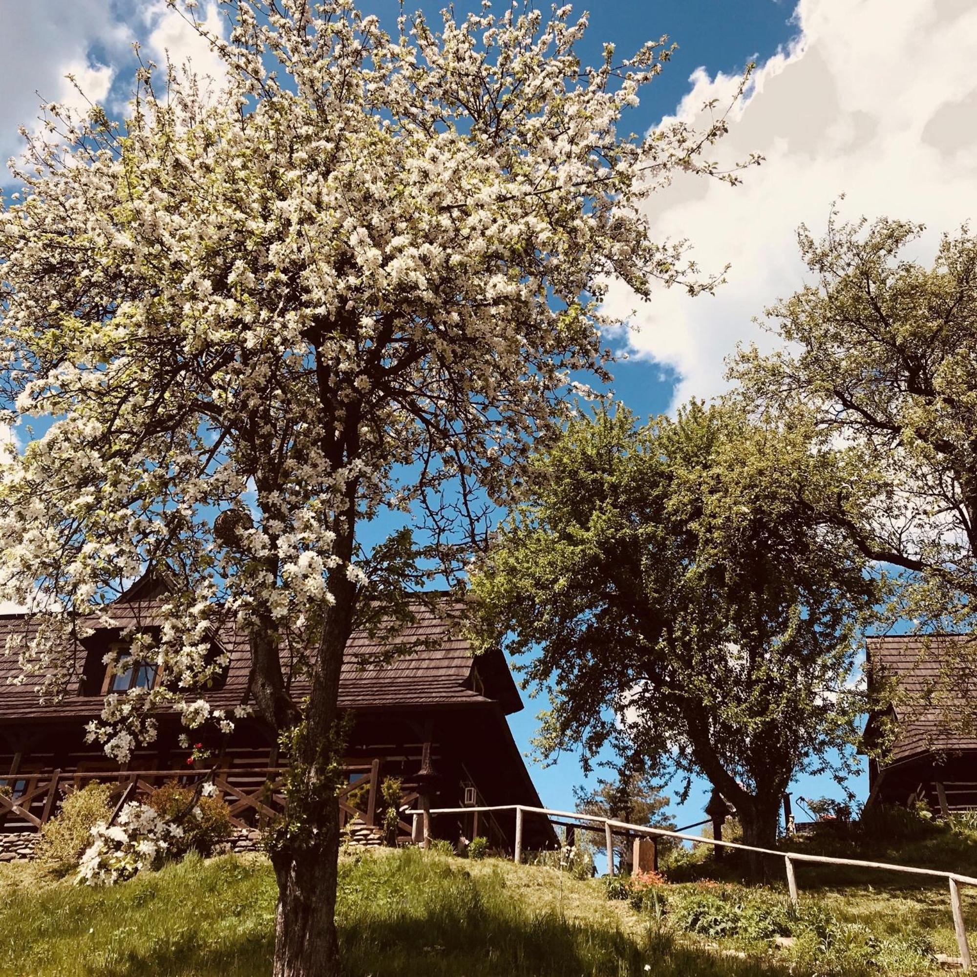 Vila Maciejewka Zahoczewie Exteriér fotografie