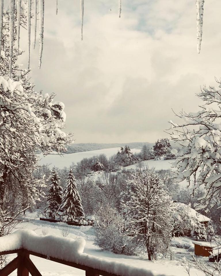 Vila Maciejewka Zahoczewie Exteriér fotografie