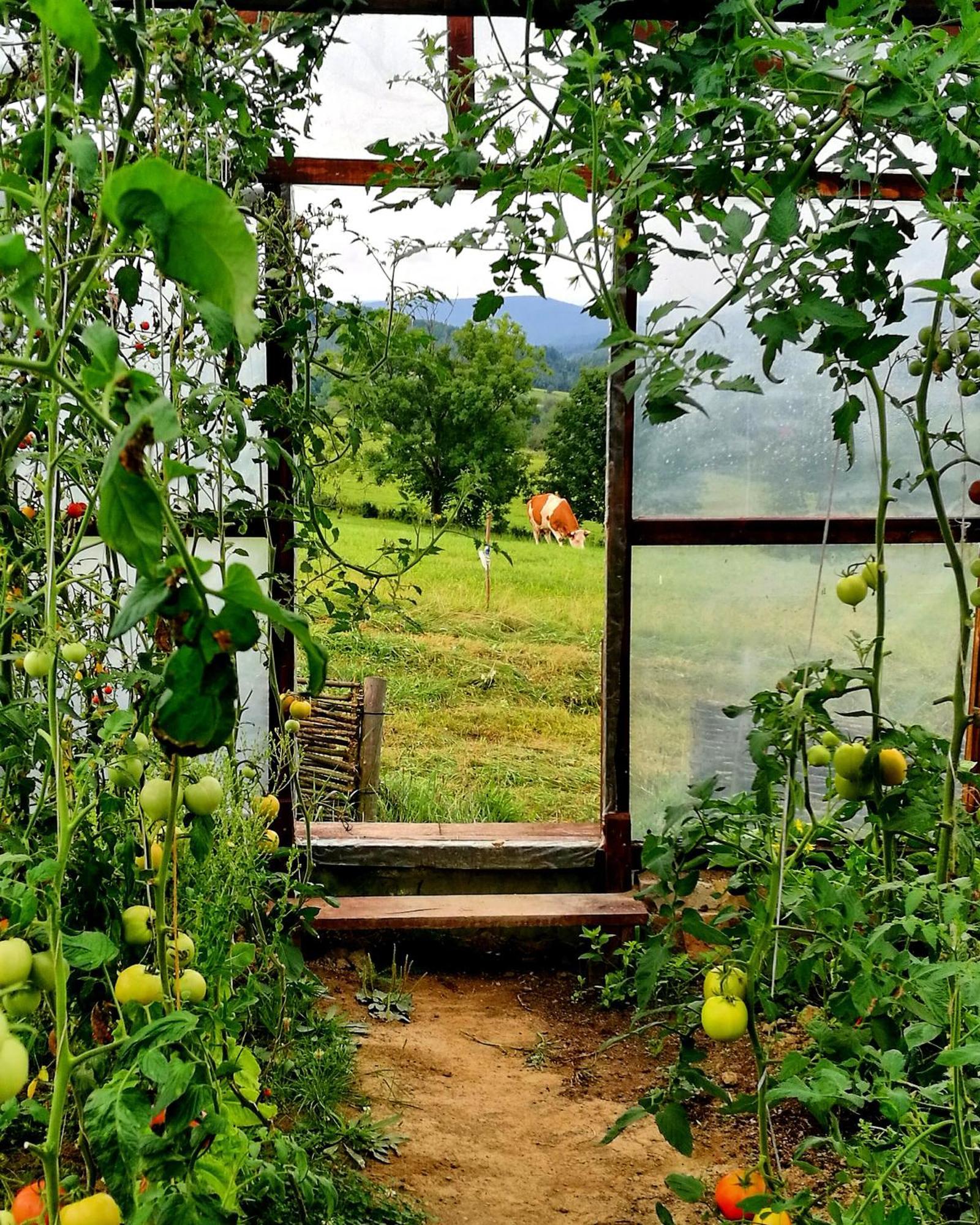 Vila Maciejewka Zahoczewie Exteriér fotografie