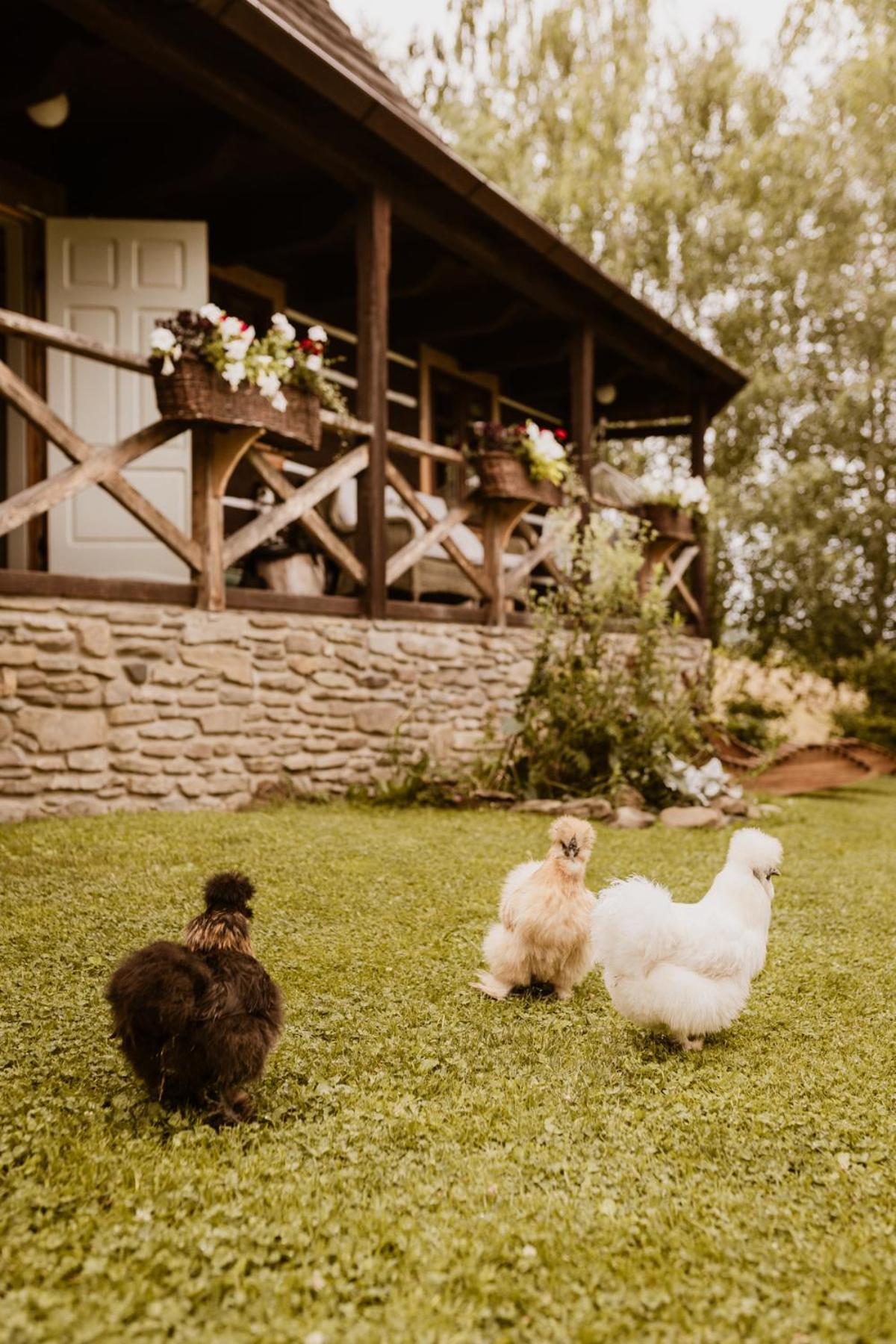 Vila Maciejewka Zahoczewie Exteriér fotografie