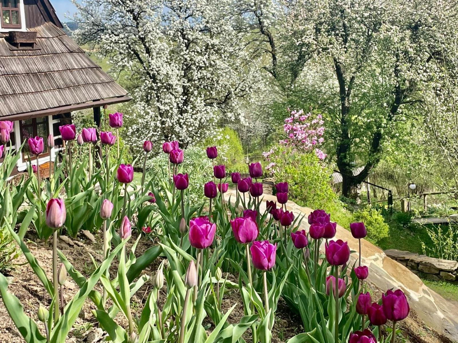 Vila Maciejewka Zahoczewie Exteriér fotografie